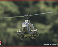 TSR Watermark - 0451
